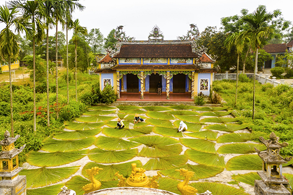 Hội đua thuyền truyền thống Phò Trạch 2026