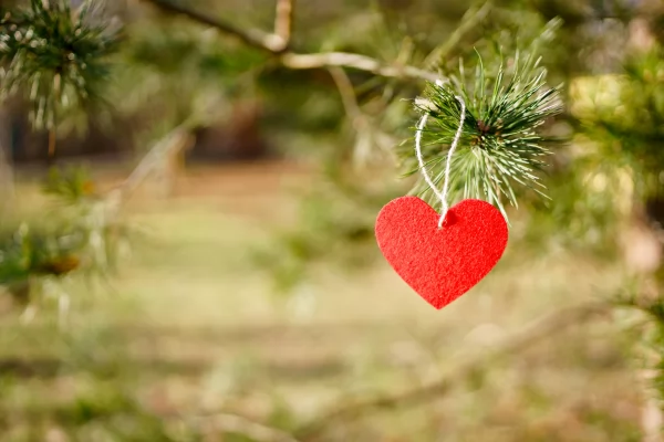 Định hướng hoạt động của Hội Đồng Hương Phong Dinh trong thời gian tới