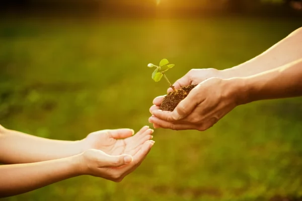 Chia sẻ - cảm nhận